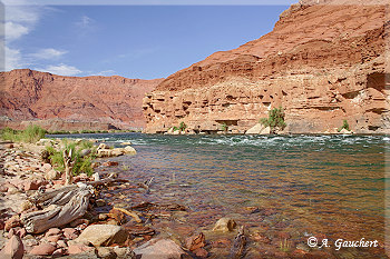 Stromschnellen am Colorado River